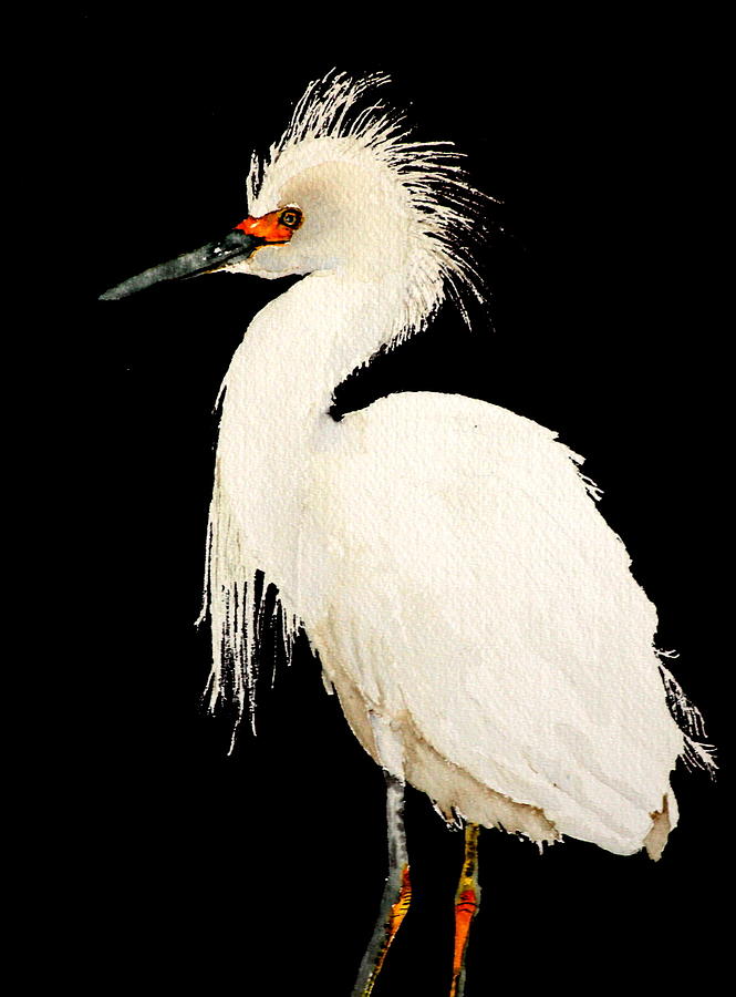 Egret Painting - Snowy by Betty Moore