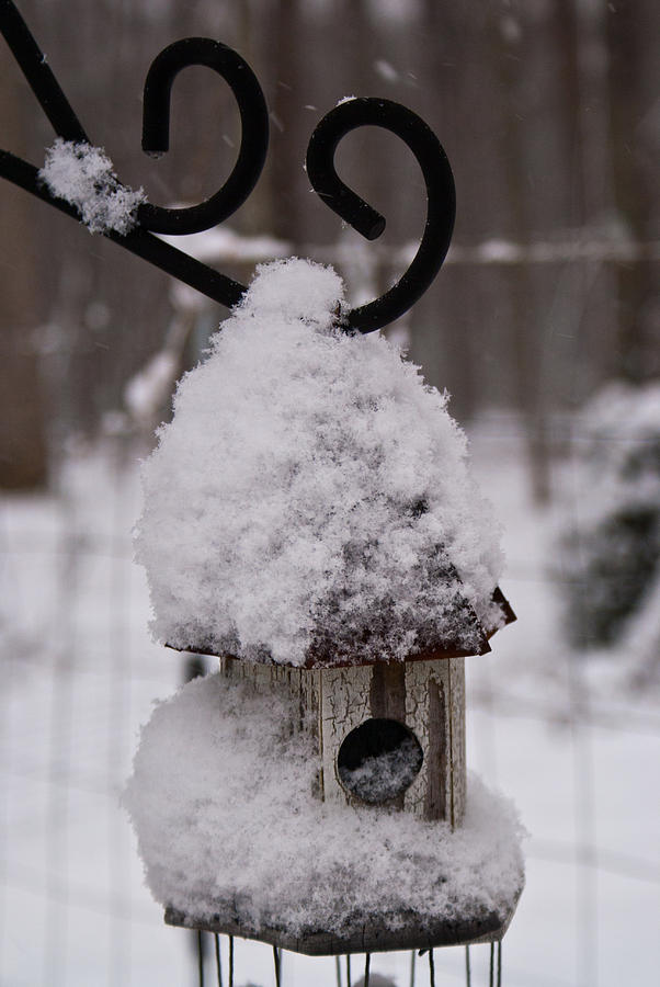 Snowy Birdhouse 1 Photograph by Douglas Barnett