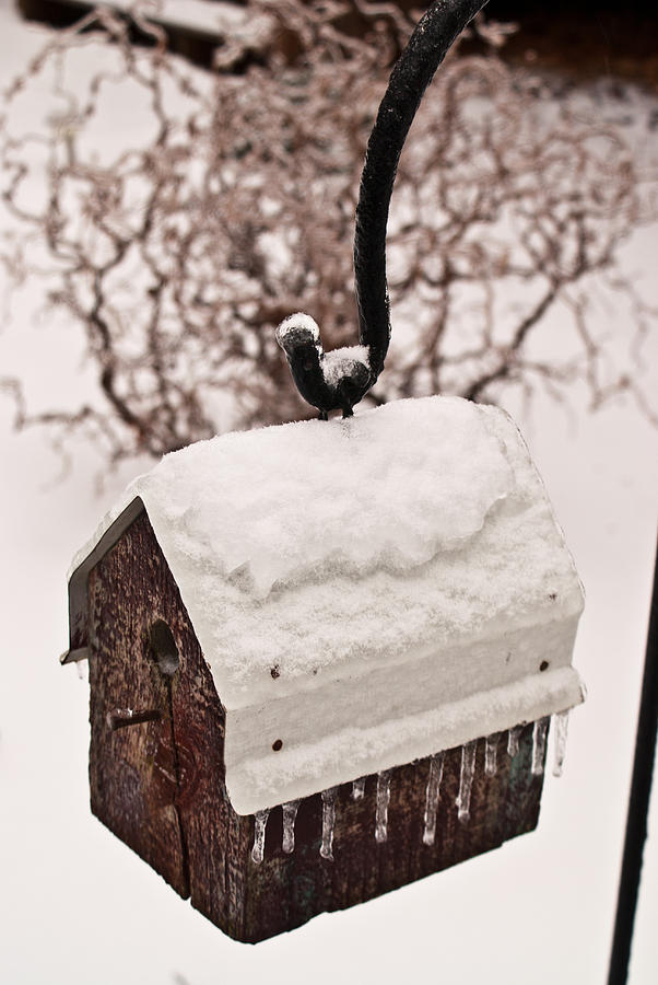 Snowy Birdhouse 2 Photograph by Douglas Barnett