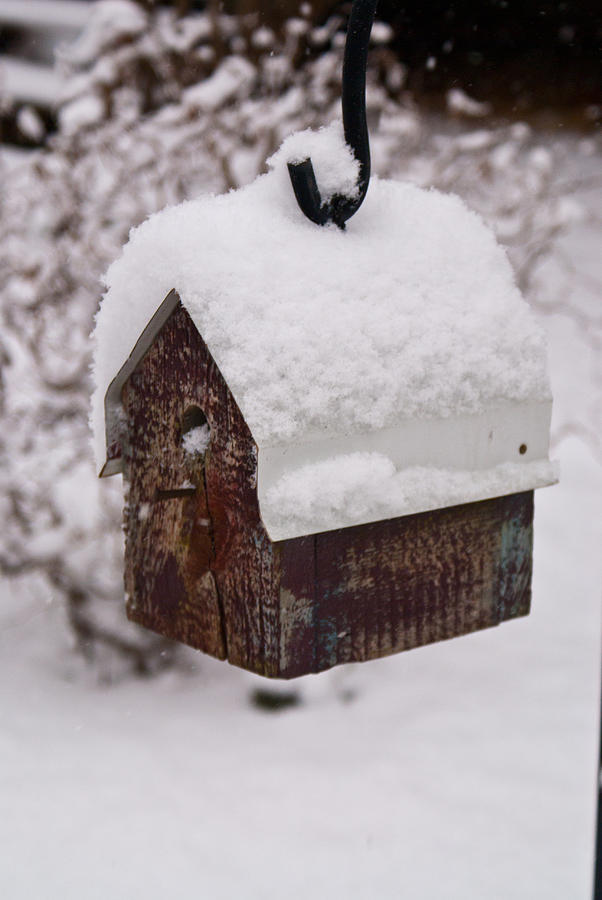 Snowy Birdhouse 3 Photograph by Douglas Barnett
