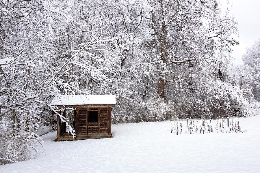Snowy Cabin Photograph