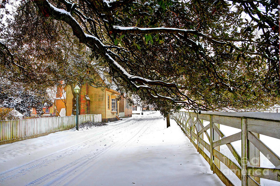Snowy Canopy Colonial Williamsburg Photograph by Karen Jorstad