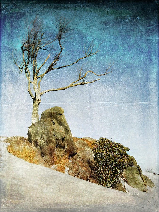 Snowy Centerpiece in the Blue Ridge FX Photograph by Dan Carmichael