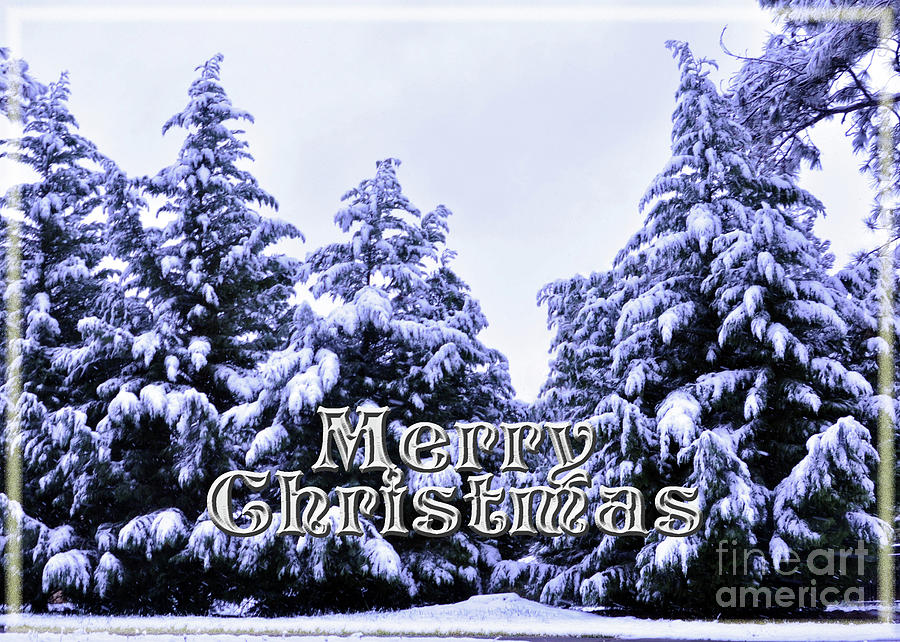 Snowy Christmas Card Photograph by Lydia Holly