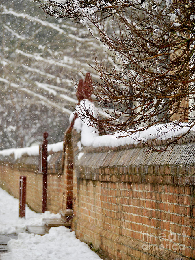 Snowy Church Wall and Gate Photograph by Rachel Morrison