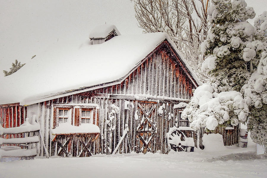 Snowy Country Barn Photograph by Dawn Key