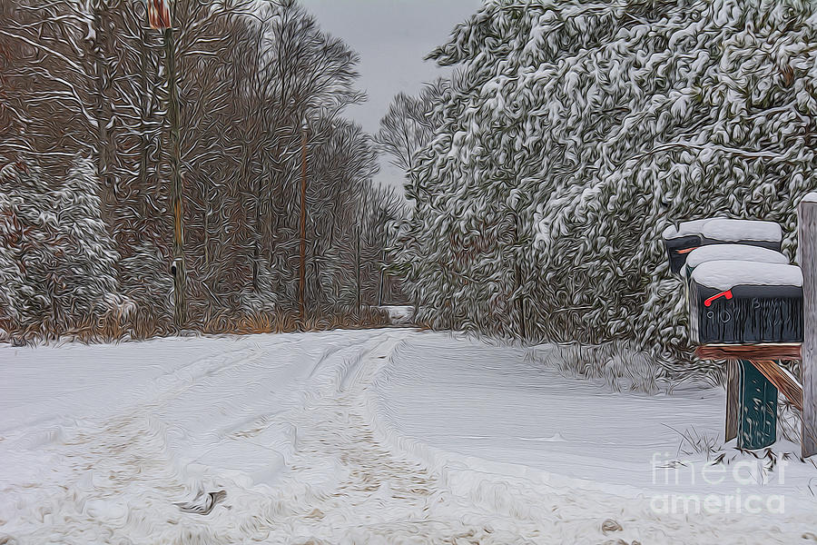 Winter Photograph - Snowy Country Lane by Kathy Liebrum Bailey