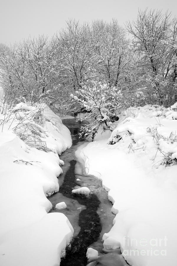 Snowy Creek 9576 Photograph by Ken DePue