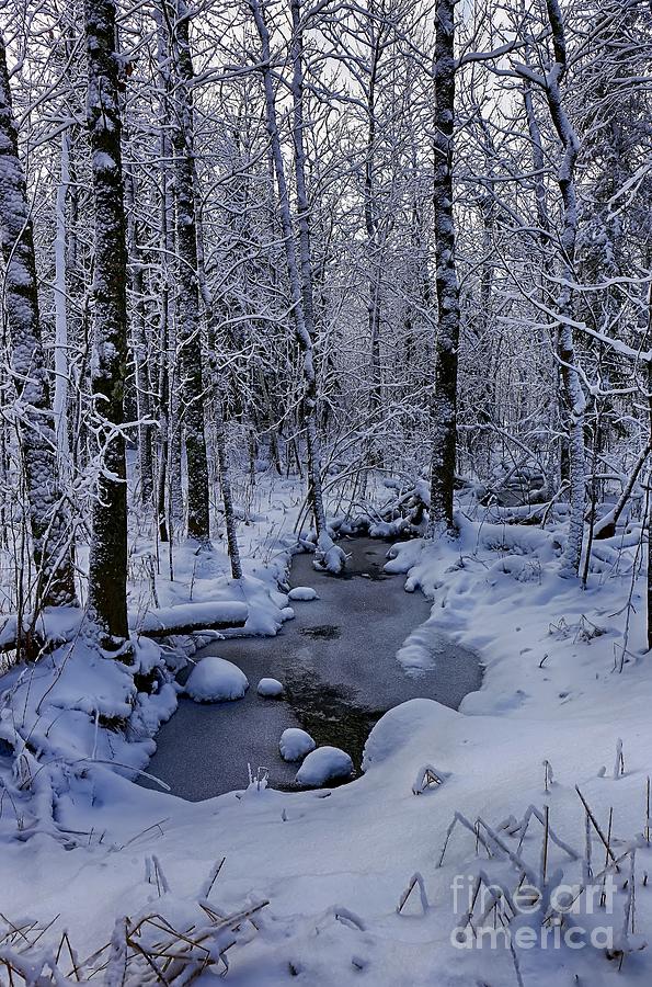 Snowy Creek Photograph by Bryan Benson - Pixels