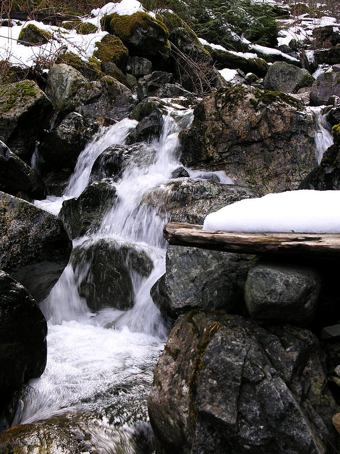 Snowy Creek Photograph by C Thomas Cooney
