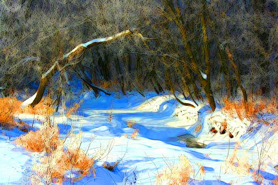 Snowy Creek etc x Photograph by Julie Lueders 