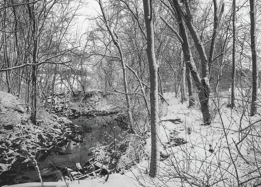 Snowy Creek Photograph by Wendy Carrington