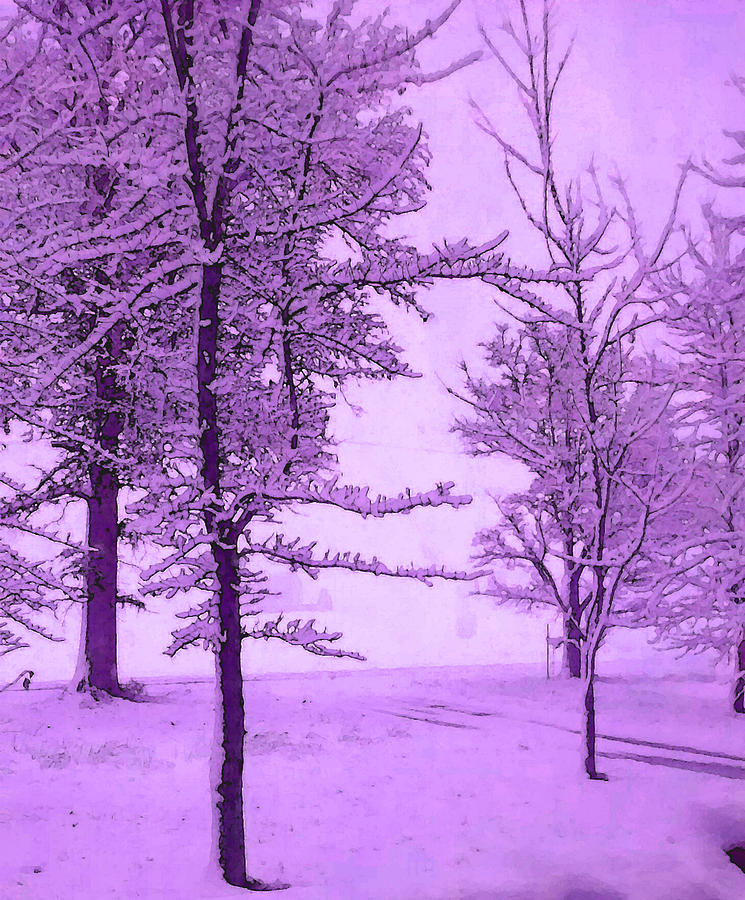 Snowy Day in Purple Photograph by Michelle Audas - Fine Art America