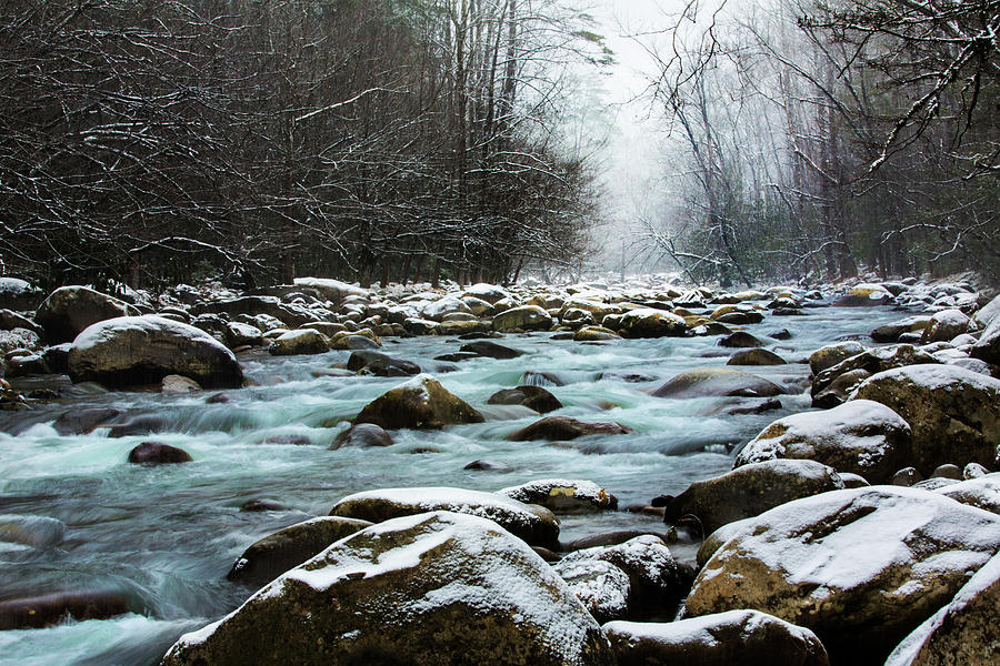 Nature Photograph - Snowy Day In Smoky Mountains by Carol Mellema