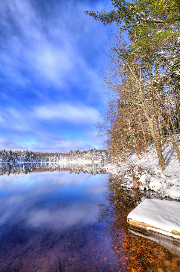 Snowy Dock on West Lake Photograph by David Patterson