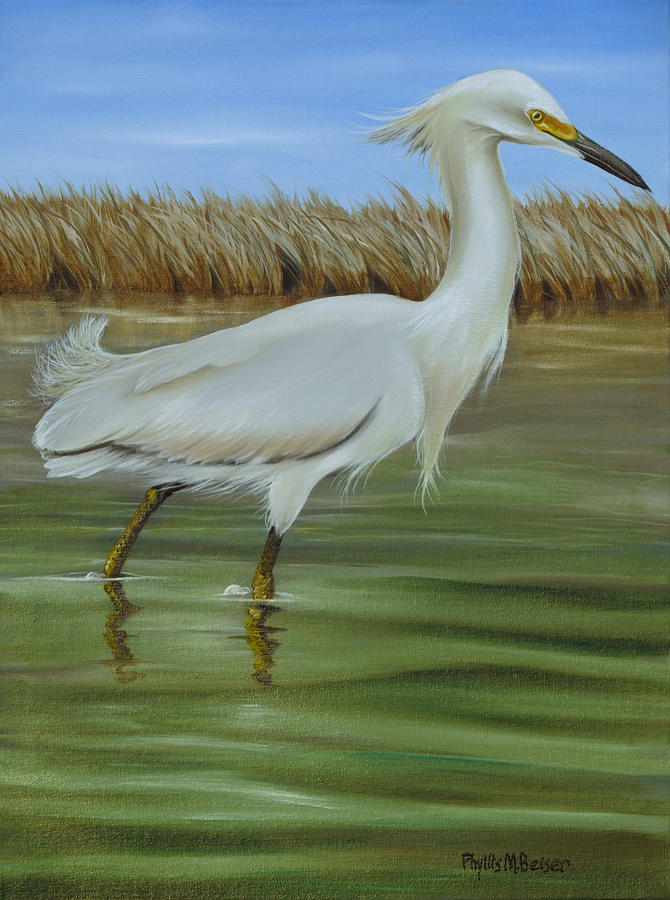 Snowy Egret 1 Painting by Phyllis Beiser - Fine Art America