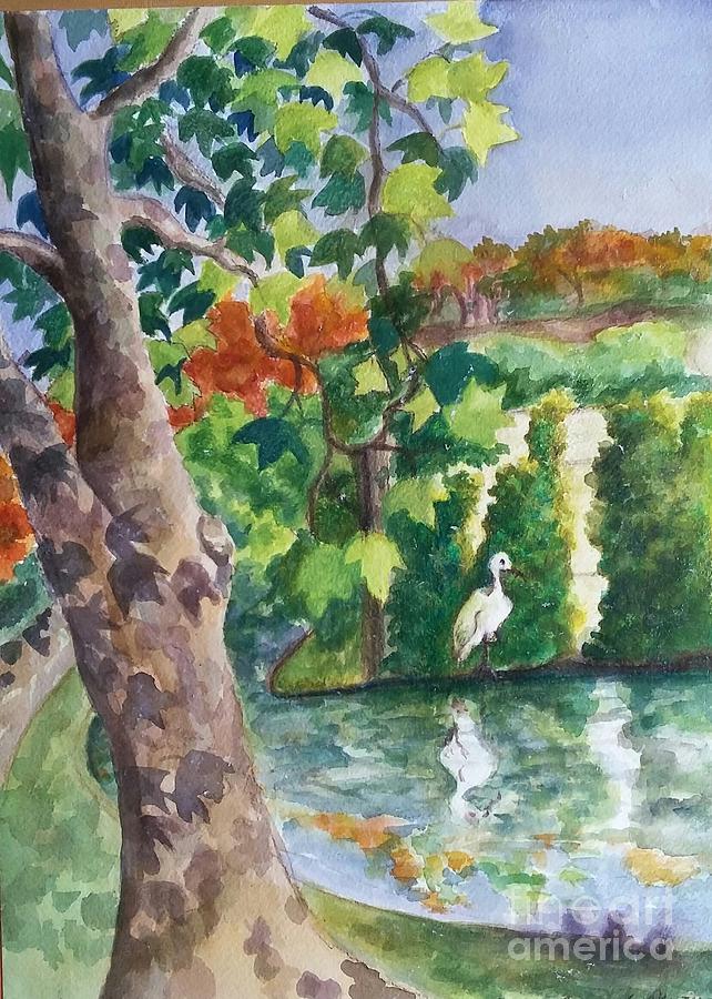 Fall Painting - Snowy Egret by San Antonio River by Lynn Maverick Denzer