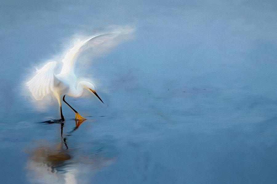 Snowy Egret Dance II Digital Art by Glenn Woodell