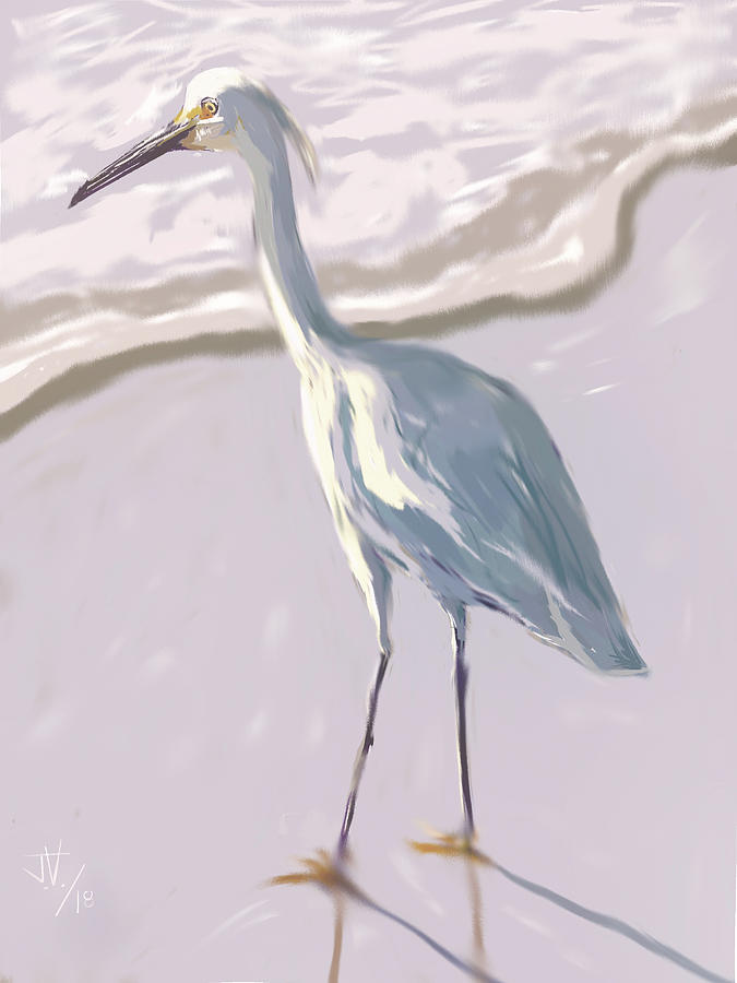 Snowy Egret Digital Art by Jim Vance