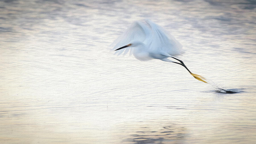 Snowy Egret Launch Digital Art by Glenn Woodell