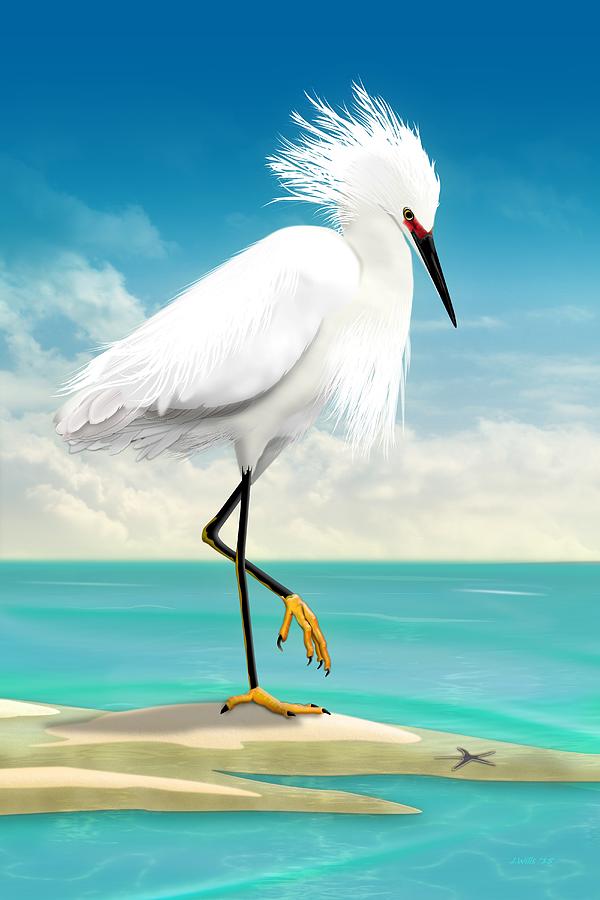 Snowy Egret on beach  Digital Art by John Wills