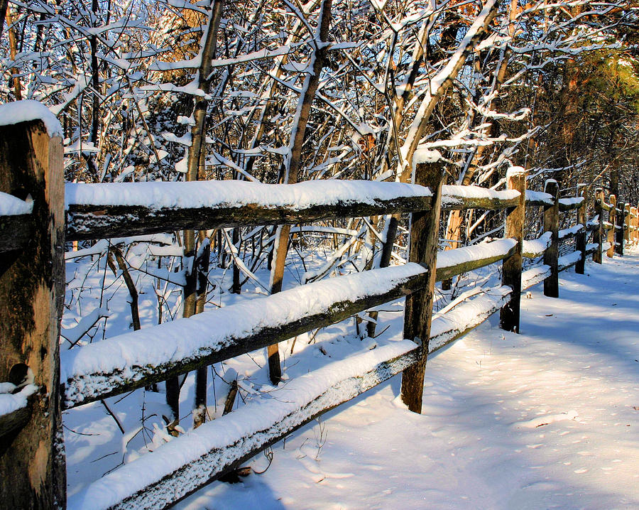 Snowy Fence Photograph by Kristin Elmquist