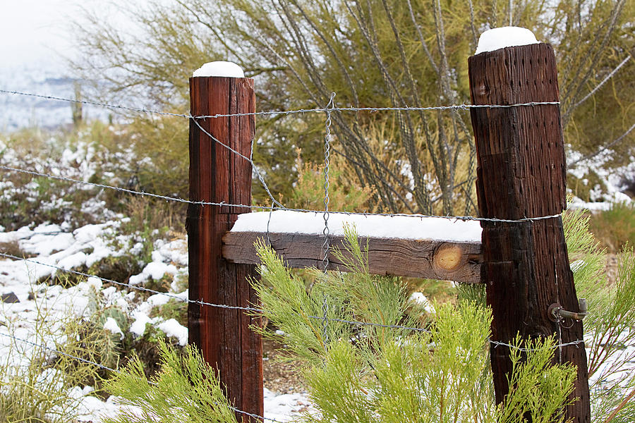 Snowy Fence Photograph by Phyllis Denton