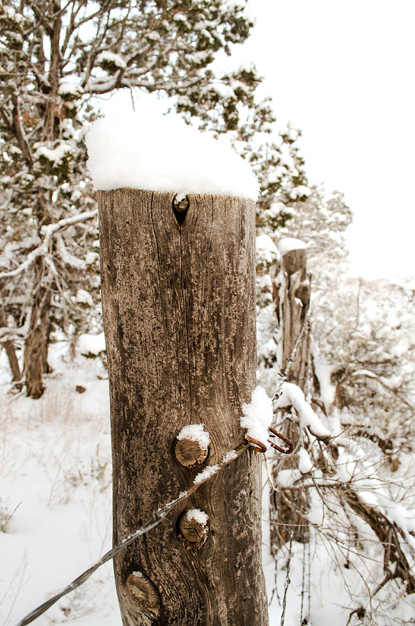Winter Photograph - Snowy Fence Post by Julie Gropp