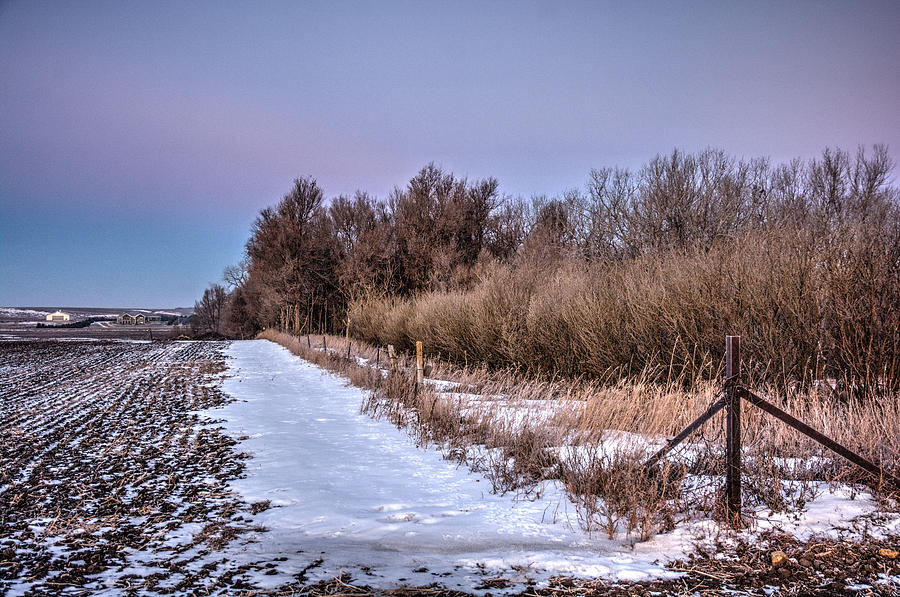 Snowy Fenceline Photograph by Joan Baker