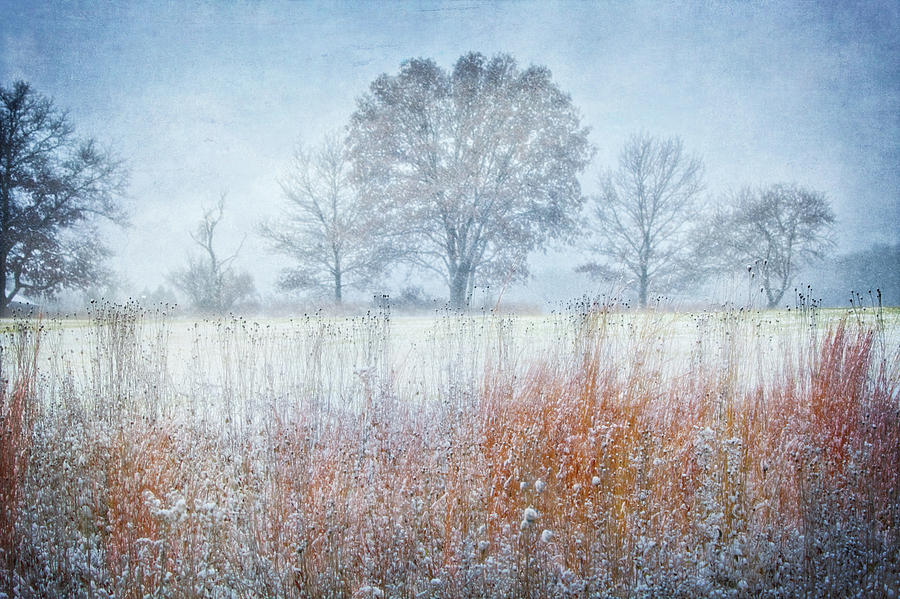 Snowy Field 2 - Winter at Retzer Nature Center  Photograph by Jennifer Rondinelli Reilly - Fine Art Photography