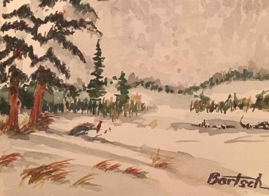 Snowy Field Painting by David Bartsch