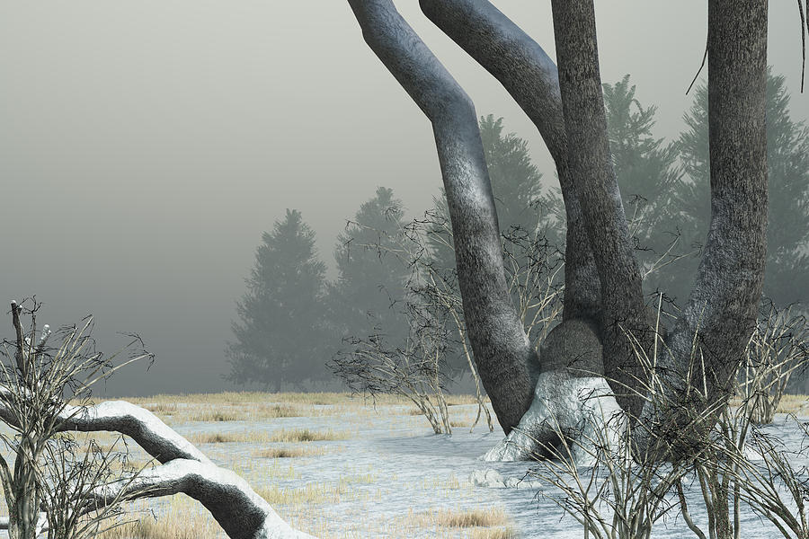 Winter Digital Art - Snowy Field by Mindscape Arts Winter Digital Art - Snowy Field by Mindscape Arts
