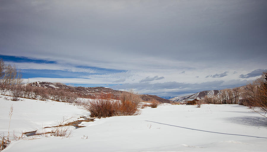 Snowy Field Photograph by Sean Allen