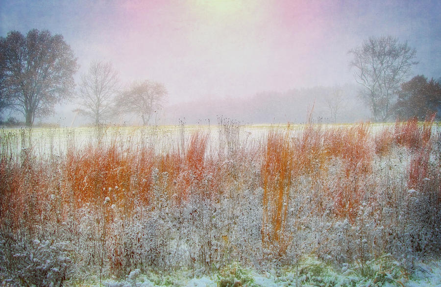 Snowy Field - Winter at Retzer Nature Center  Photograph by Jennifer Rondinelli Reilly - Fine Art Photography