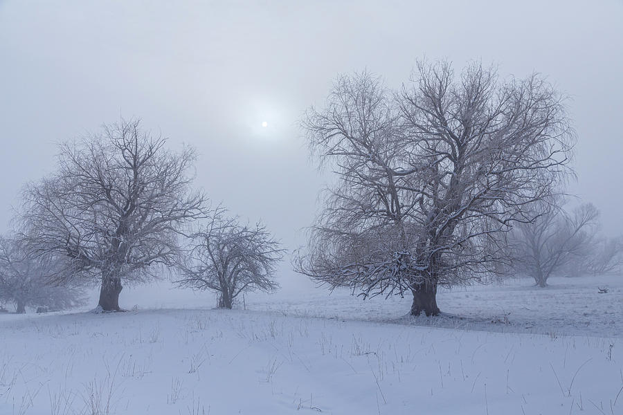 Snowy Foggy Sun Burning Photograph by James BO Insogna