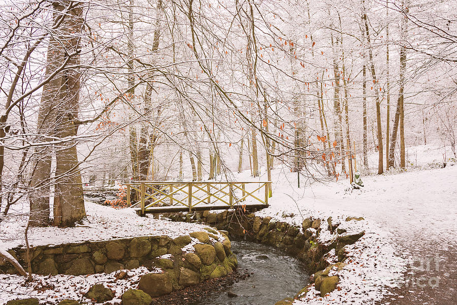 Snowy foot bridge Photograph by Sophie McAulay