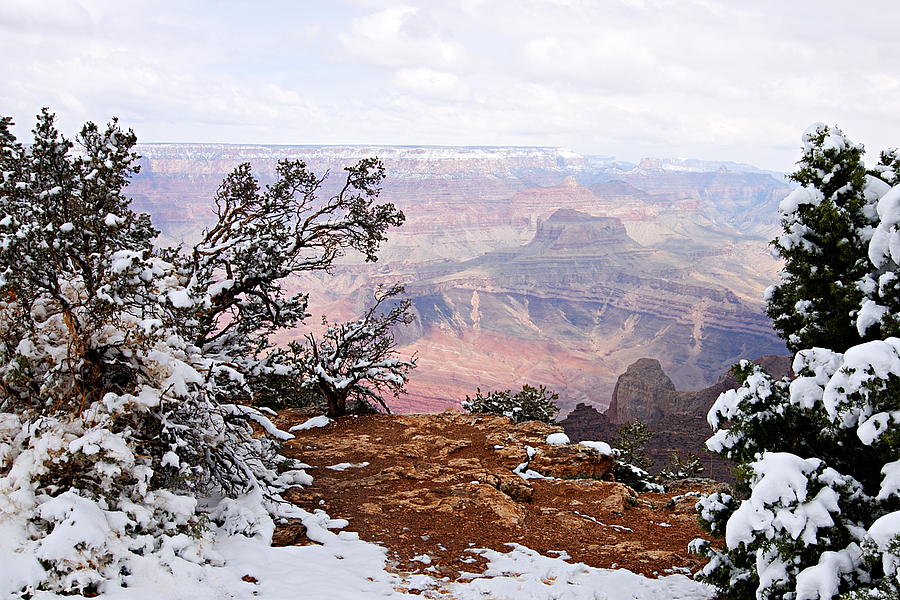 Grand Canyon National Park Photograph - Snowy Frame - Grand Canyon by Larry Ricker