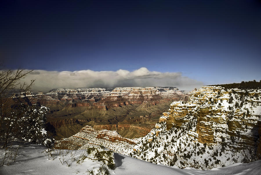 Snowy Grand Canyon Photograph by Sally Weigand