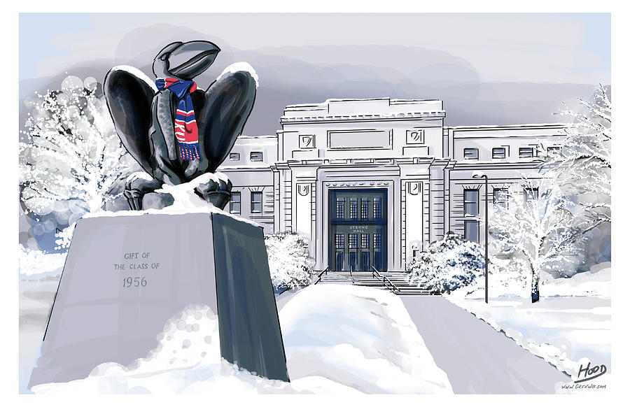 Snowy 'Hawk by Matt Hood Snowy 'Hawk by Matt Hood