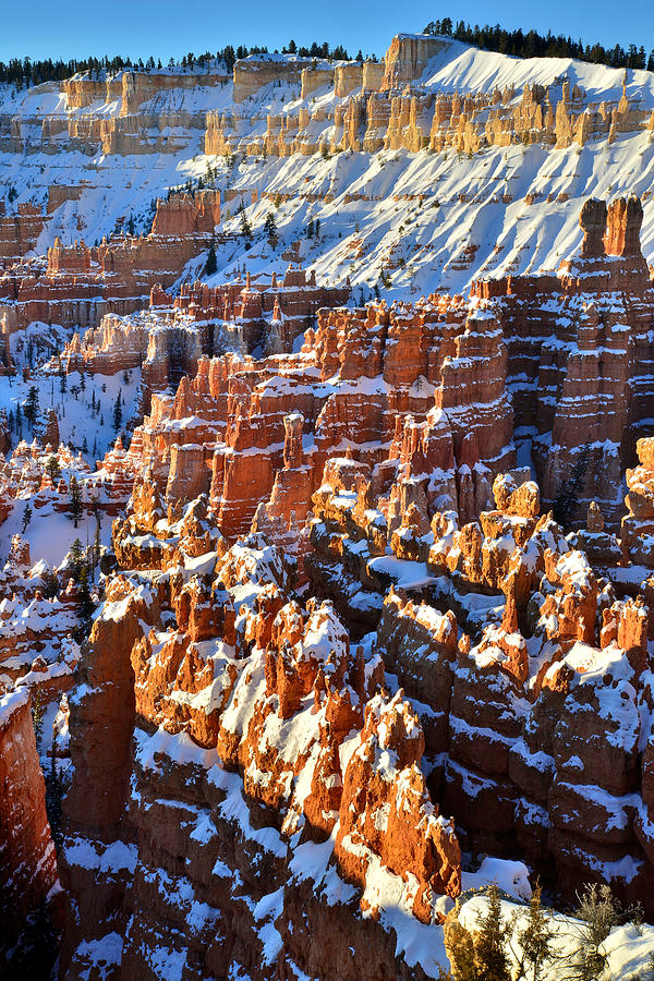 Snowy Hoodoos Photograph by Ray Mathis
