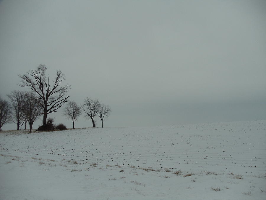 Snowy Illinois Field Photograph by David Junod
