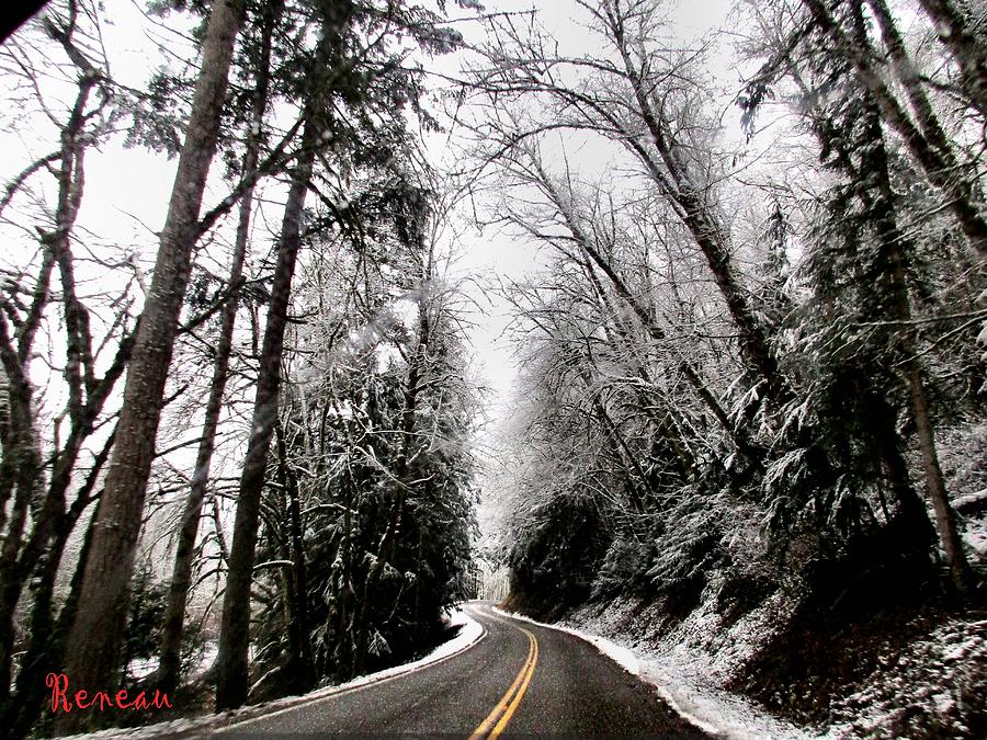 Snowy Kapowsin Wa Road Photograph by A L Sadie Reneau