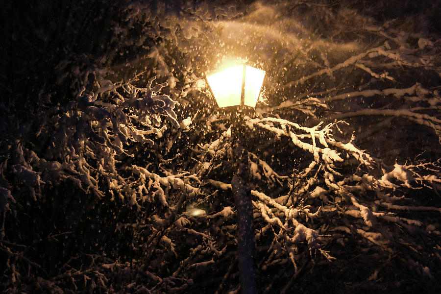 Snowy Lamp Photograph by William E Rogers - Fine Art America