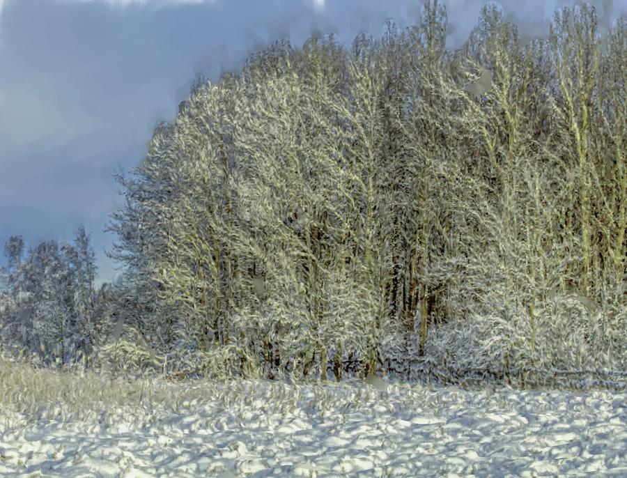 snowy landscape A #f3 Photograph by Leif Sohlman