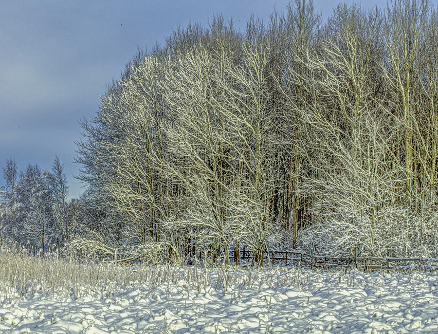 Snowy Landscape #f3 Photograph by Leif Sohlman