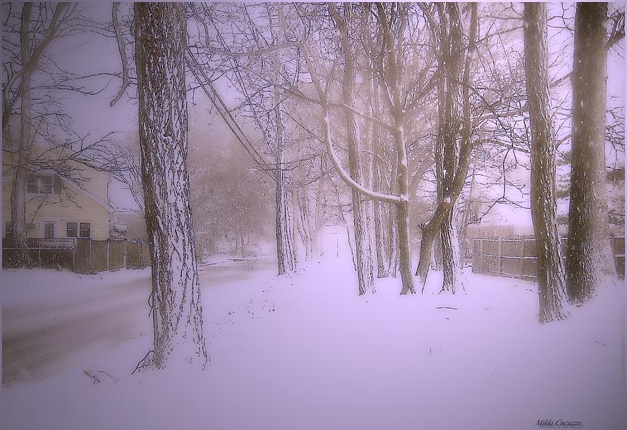 Snowy Landscape Photograph by Mikki Cucuzzo