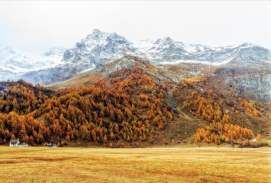 Snowy landscape with fall colors Photograph by Roberto Pagani