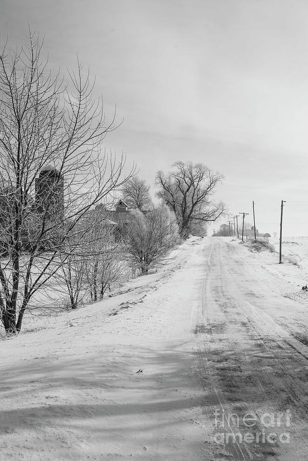 Snowy lane Photograph by David Bearden