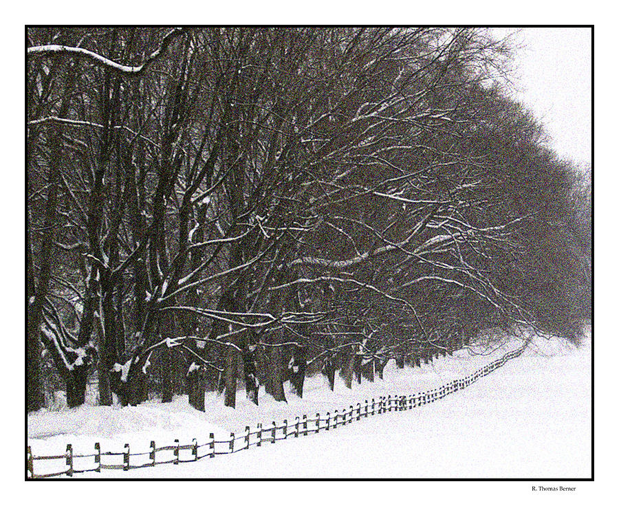 Snowy Lane Photograph by R Thomas Berner