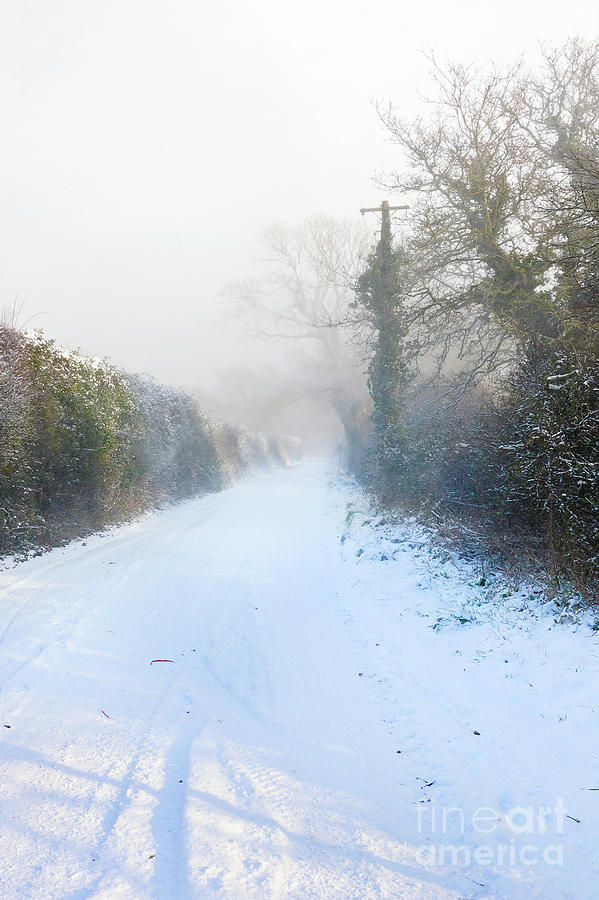 Snowy Lane Photograph by Terri Waters